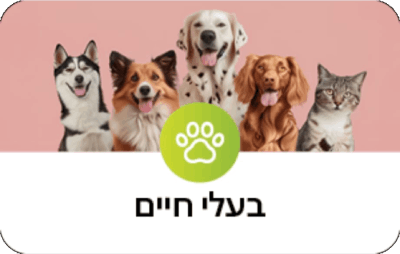 בעלי חיים